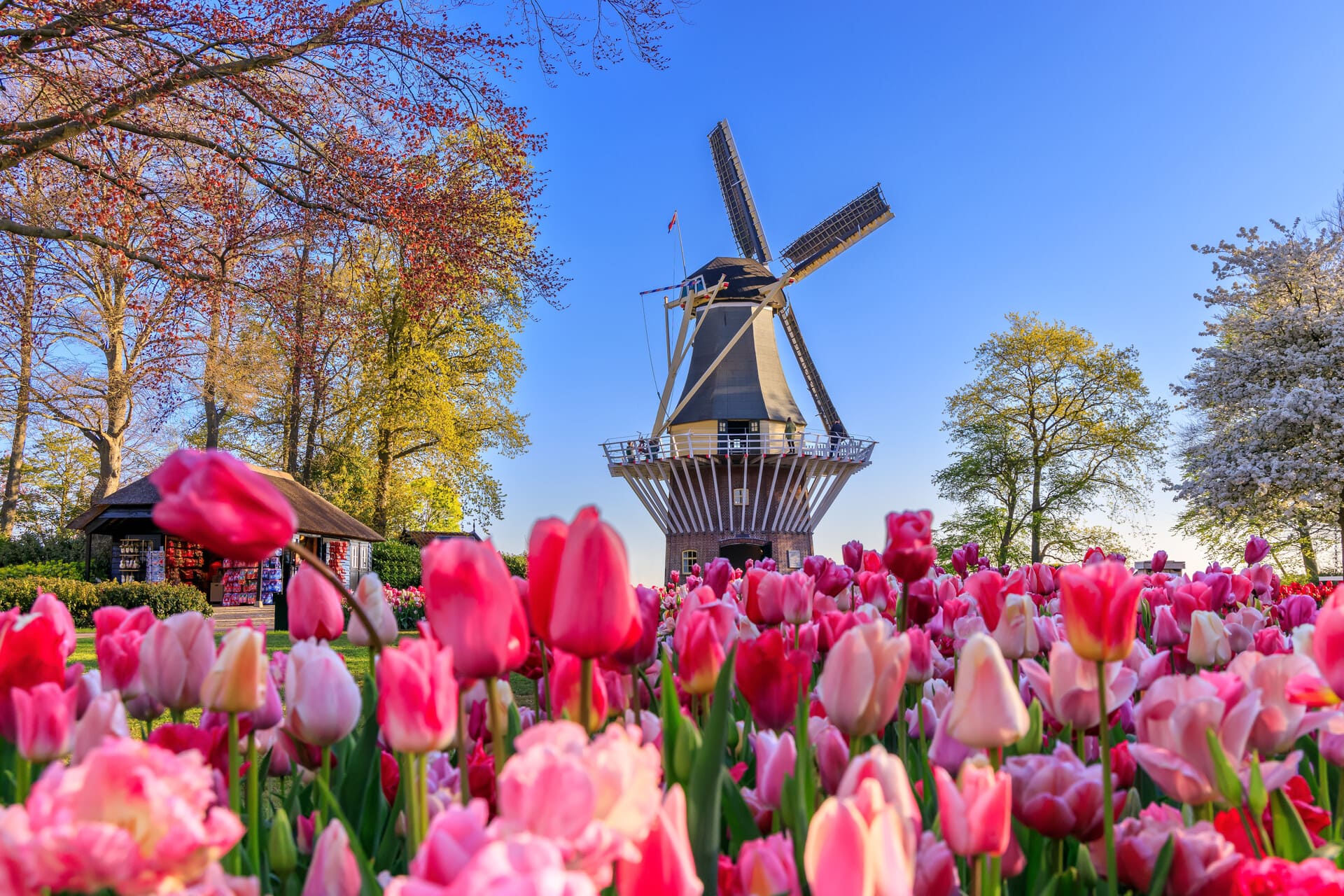 Keukenhof Bileti
